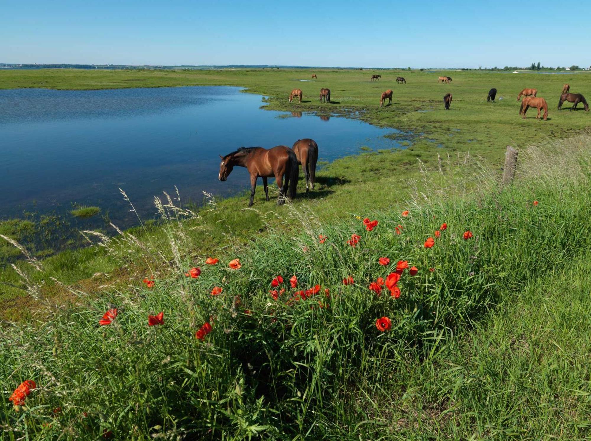 Ferienwohnungen Am Lotsenstieg Abendrot Insula Poel Exterior foto
